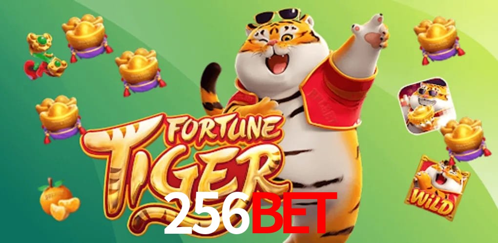 Experiência VIP 256bet